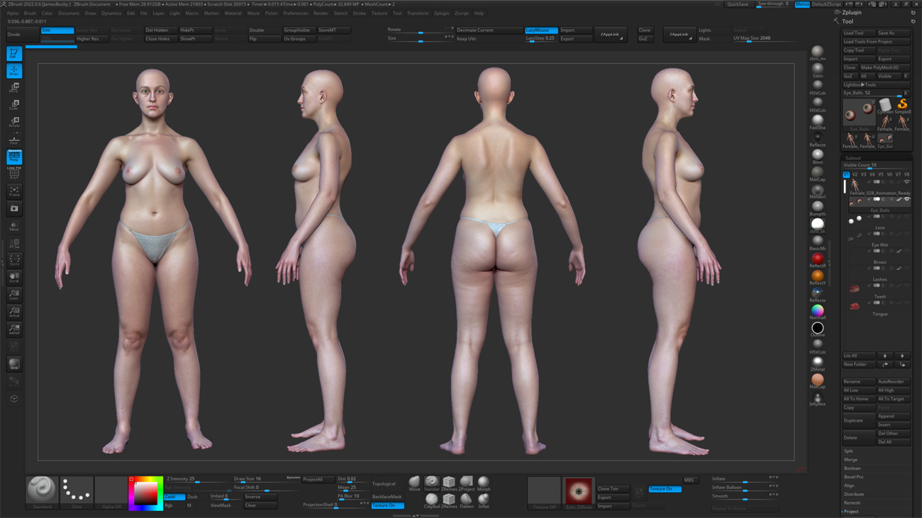ZBrush ZTool render of a female 3D body scan at high subdivision level showing sculpt-ready mesh detail